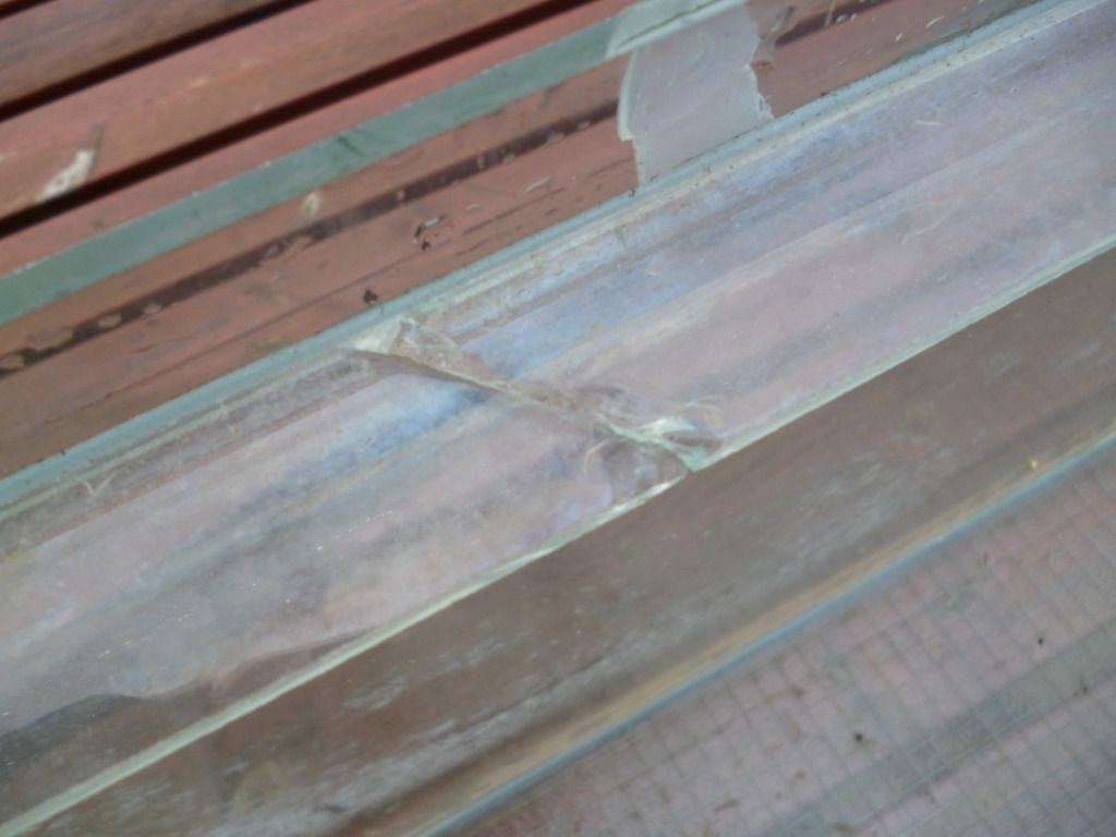 P1000249.jpg