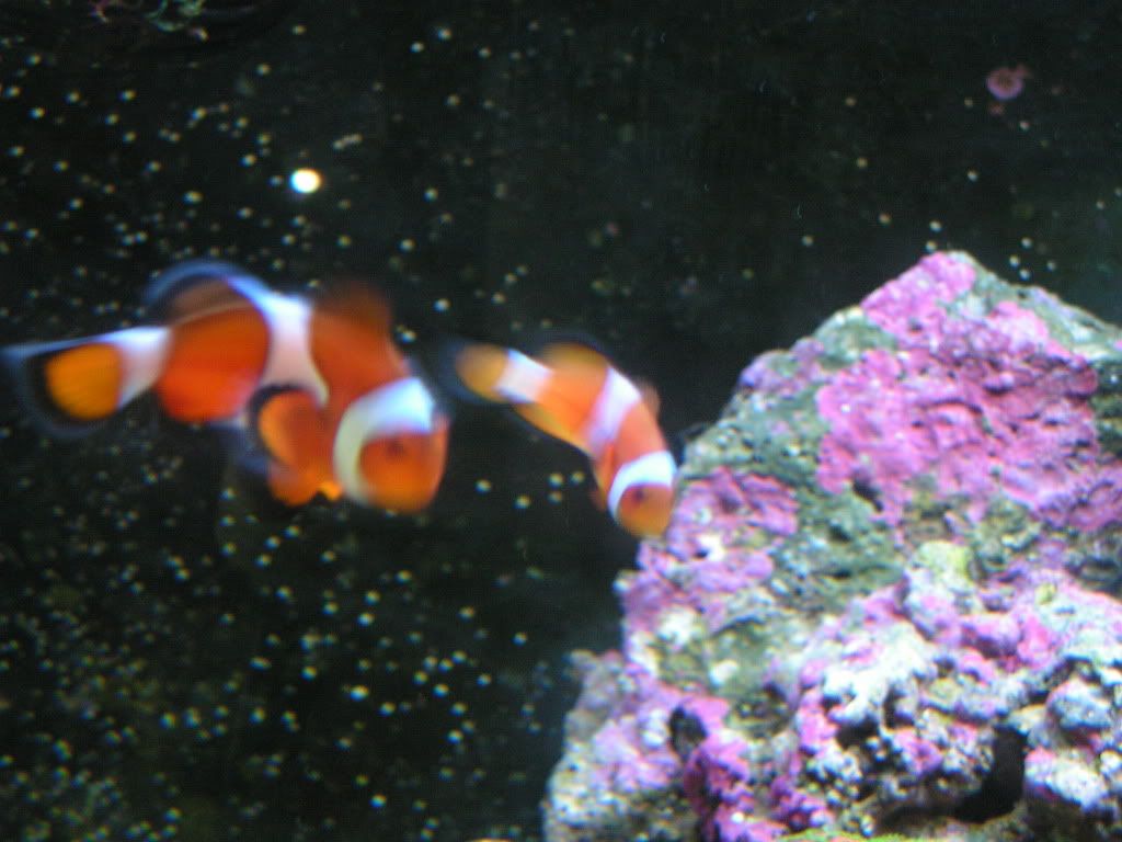 PICT1341.jpg