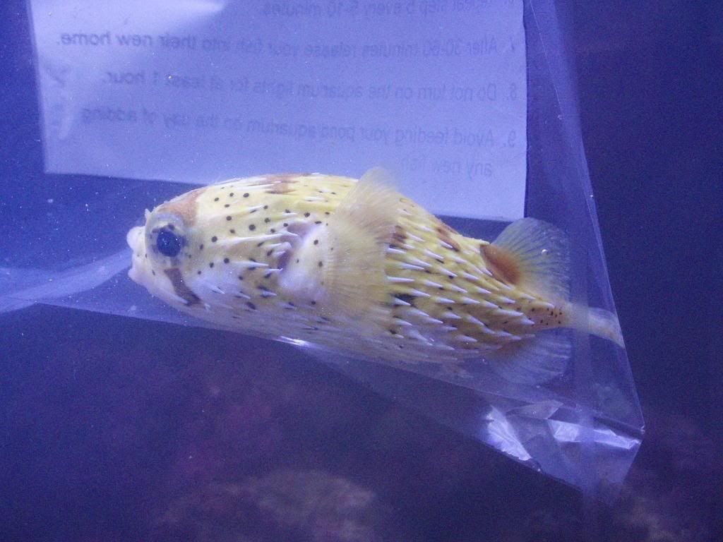 Picture684-1.jpg