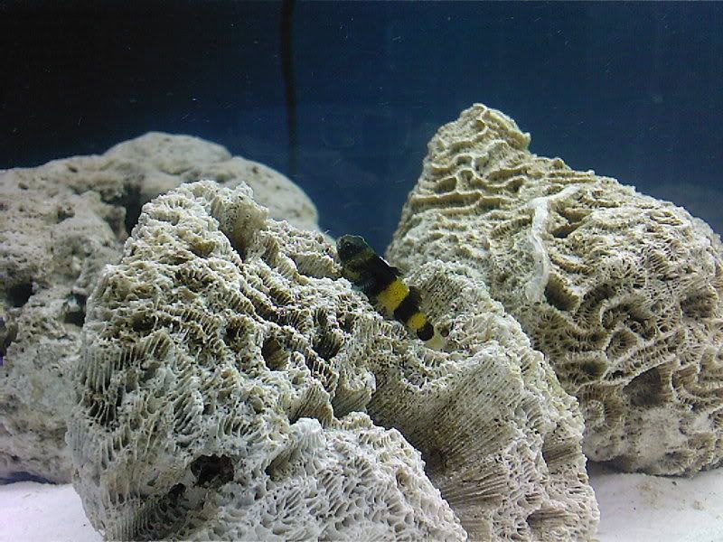 Photo-0001-1.jpg