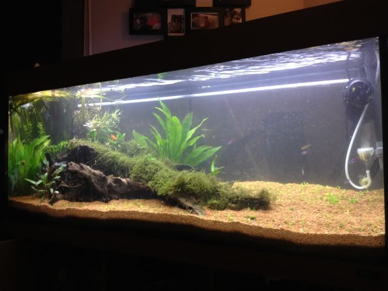 tank050.jpg