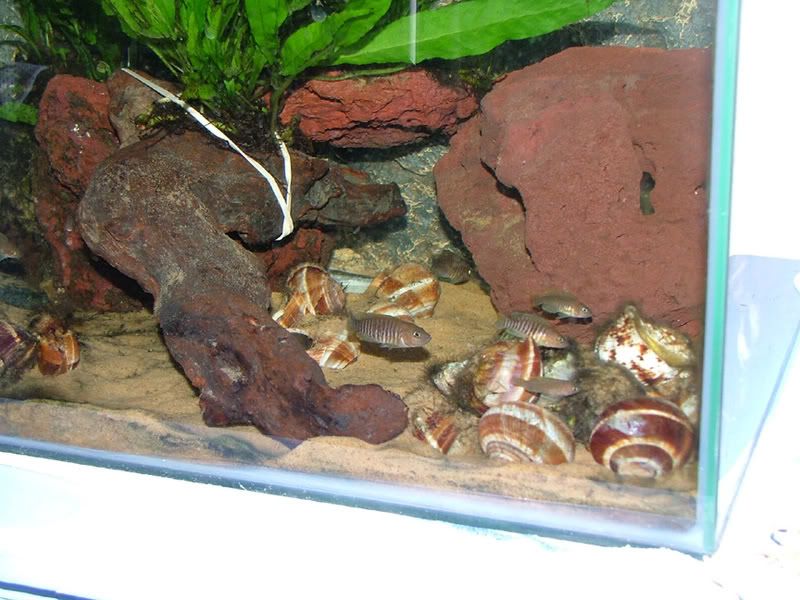 DSCF5550.jpg