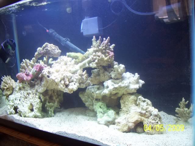 100_5217.jpg