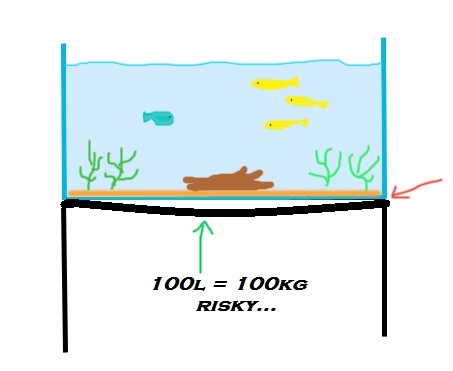 fishta10.jpg