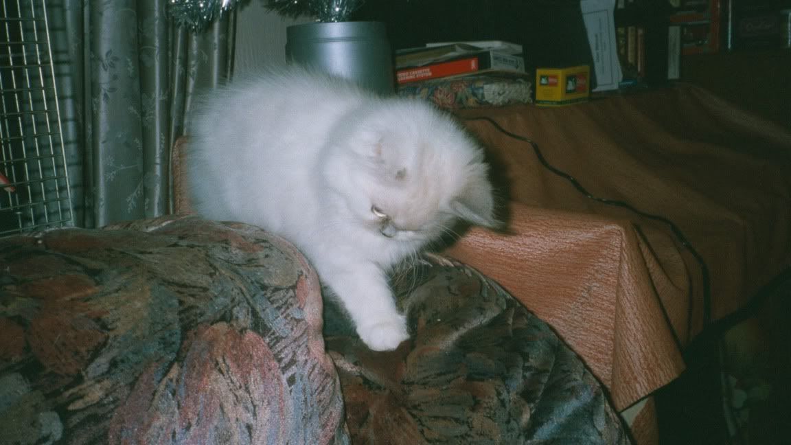 040_40.jpg