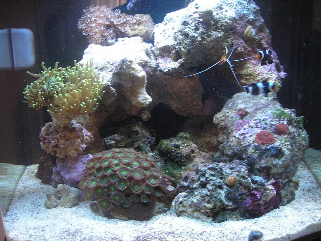 P1010031.jpg