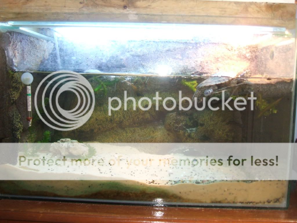 DSCF2825.jpg