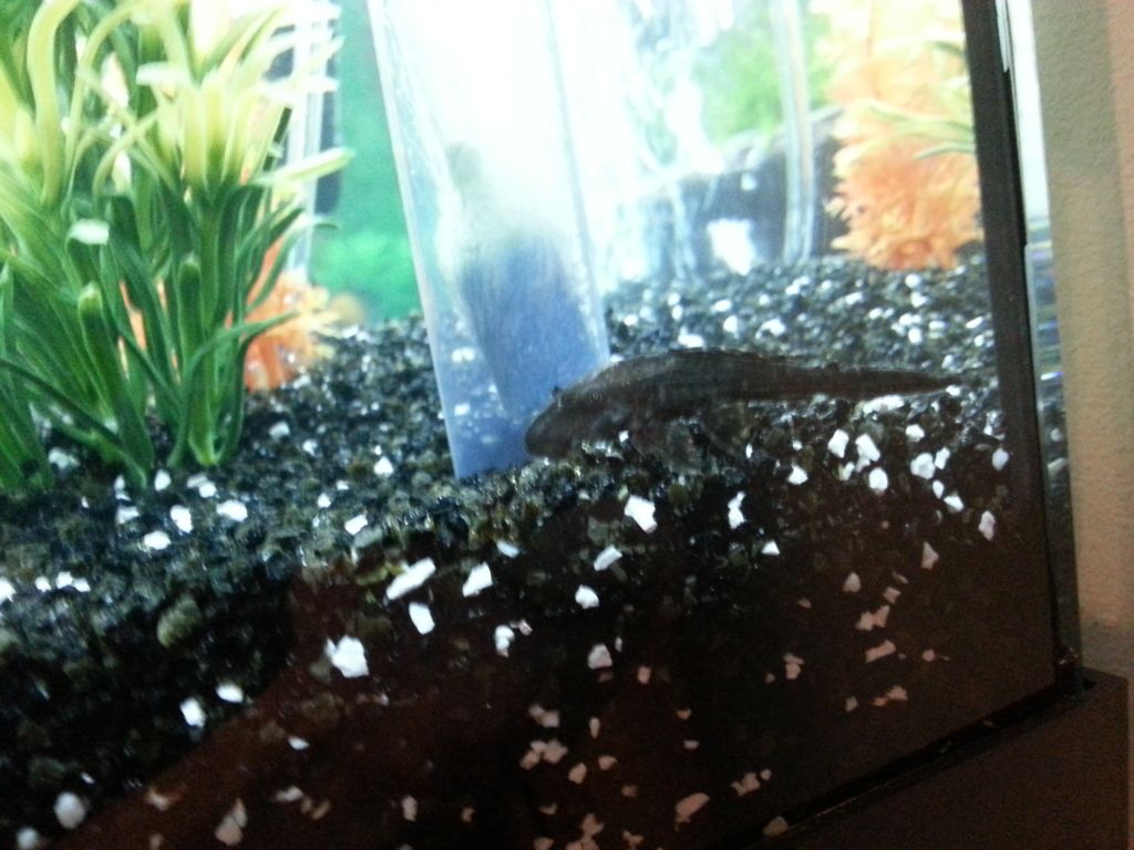 20120711_190047.jpg