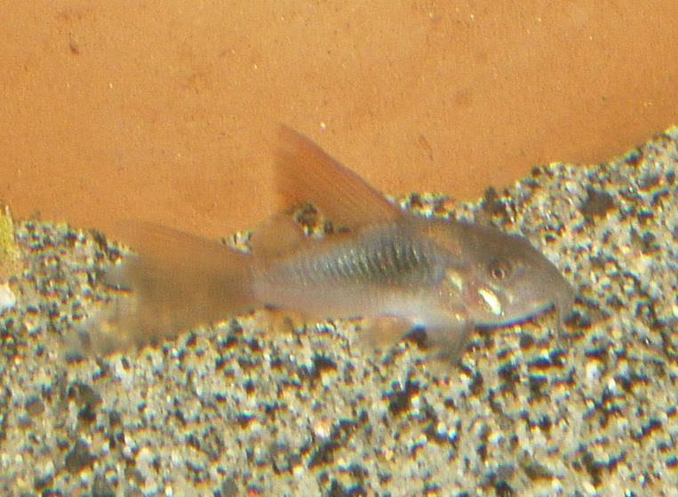 07-20-07059-2.jpg