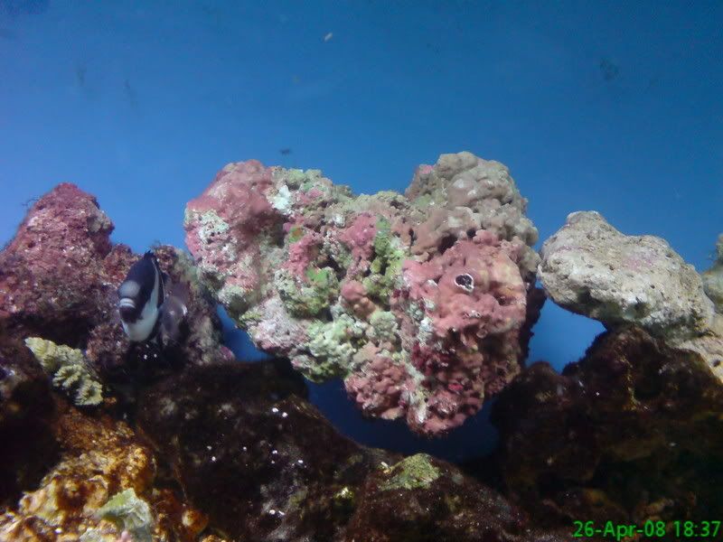 DSC00107.jpg