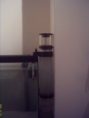 Temp055.jpg