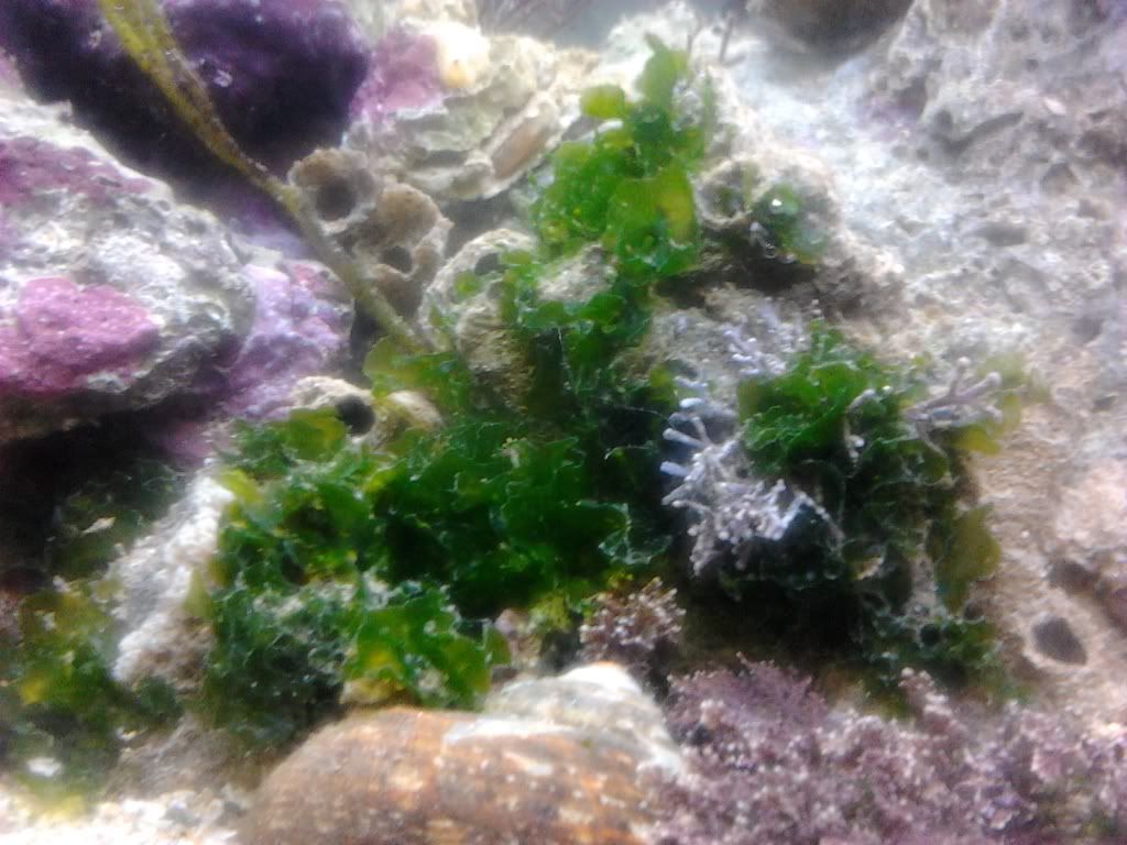 2012-03-29203440.jpg