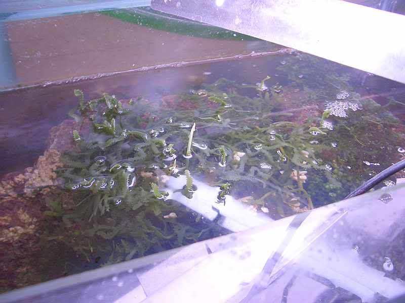 CIMG0807.jpg