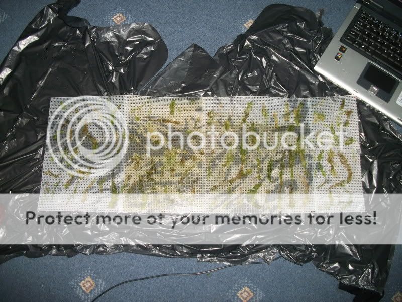 DSCF2985.jpg