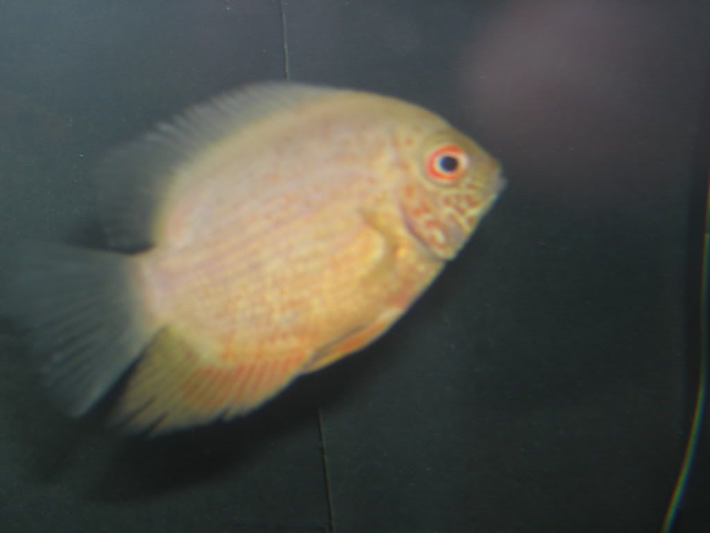 DSCN0552.jpg