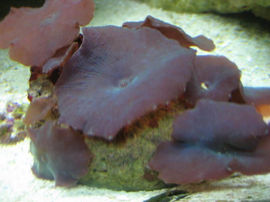 IMG_1047.jpg