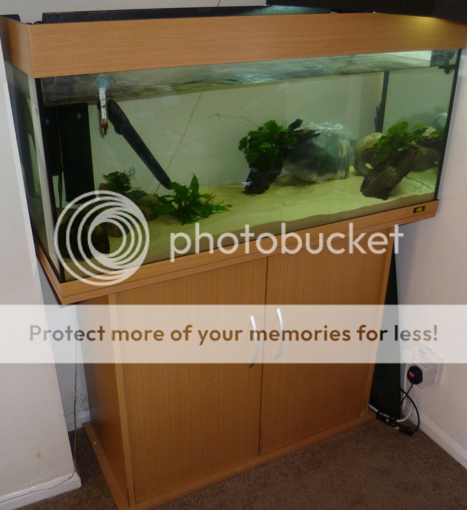 fishtank1.jpg