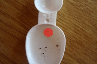 racspoon2-1.gif