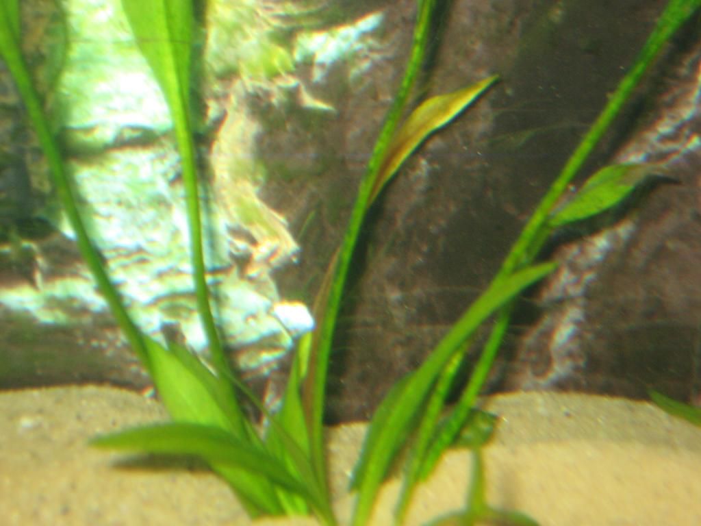 IMG_3006_zps44014bf7.jpg