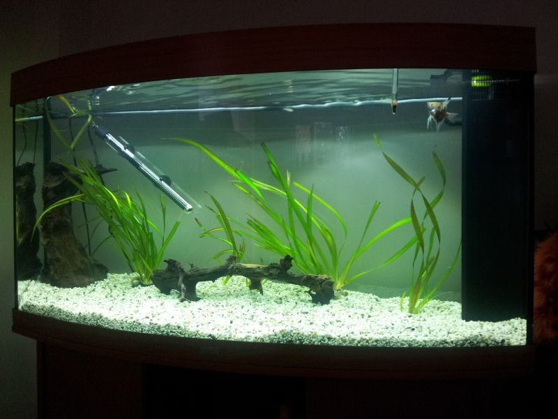 20120716_194716.jpg