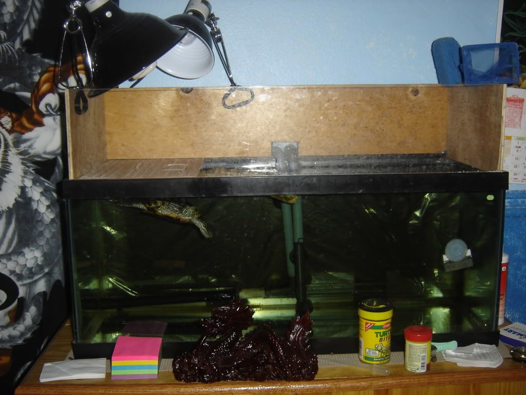 progessof20gallon005.jpg