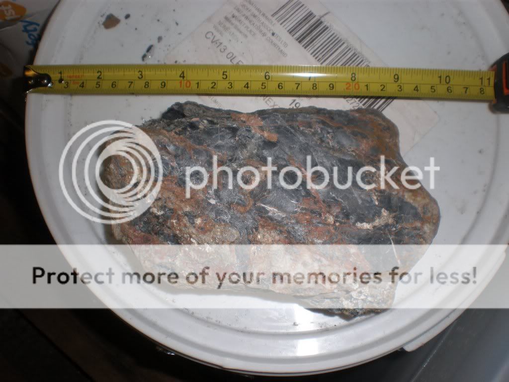 Pa170993.jpg