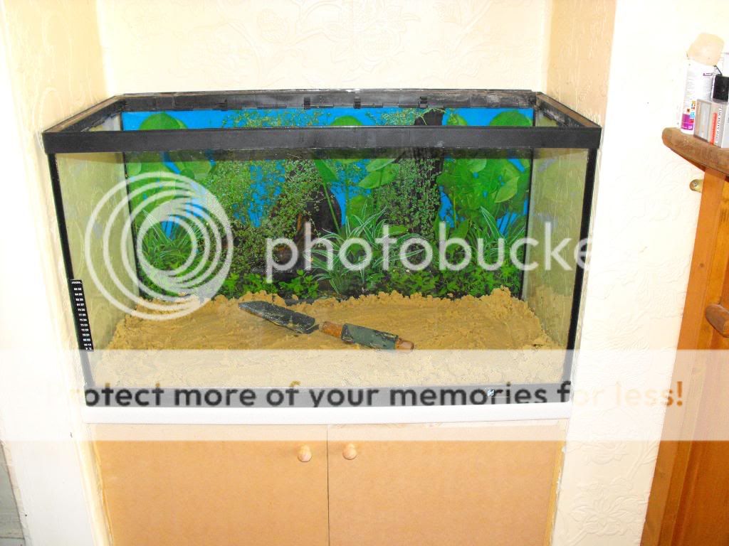 DSCF1093.jpg
