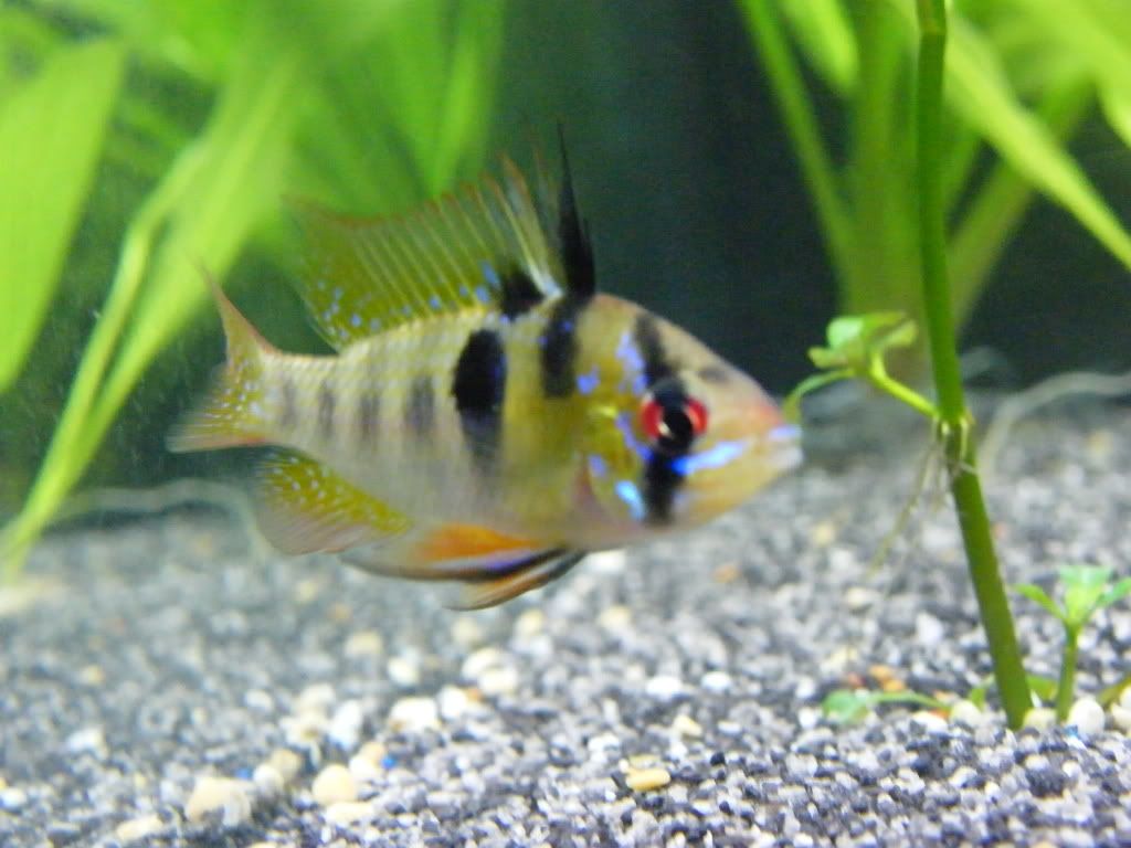 DSCF4572.jpg