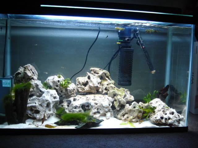 Picture004.jpg