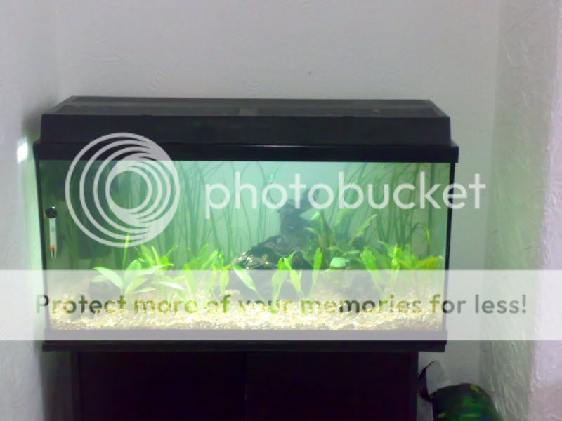 22062008094.jpg