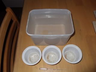 SDC11481-1.jpg