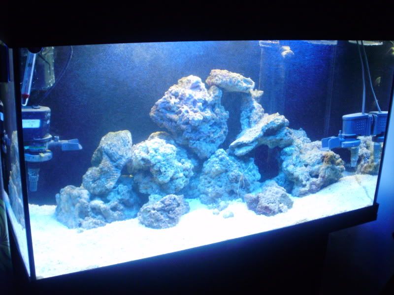 P9200002.jpg