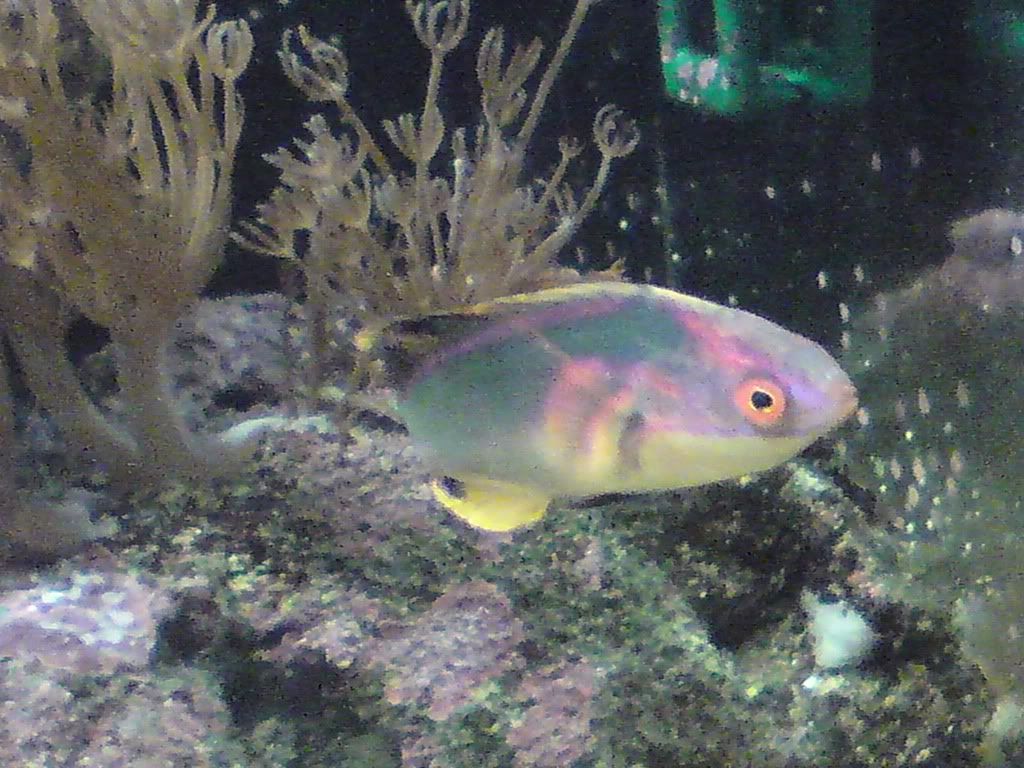 DSC00088.jpg