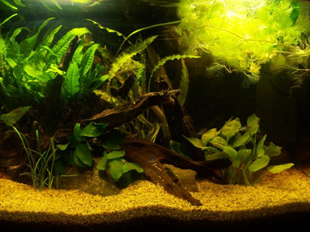 101_6084.jpg