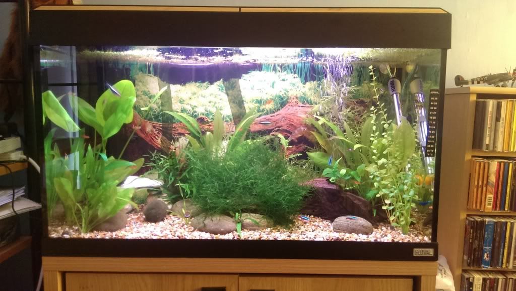 IMAG0194_zps1ca9a5aa.jpg