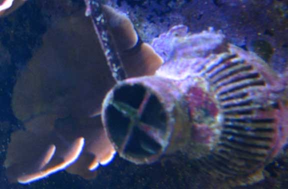 Oct2010MontePlates5.jpg