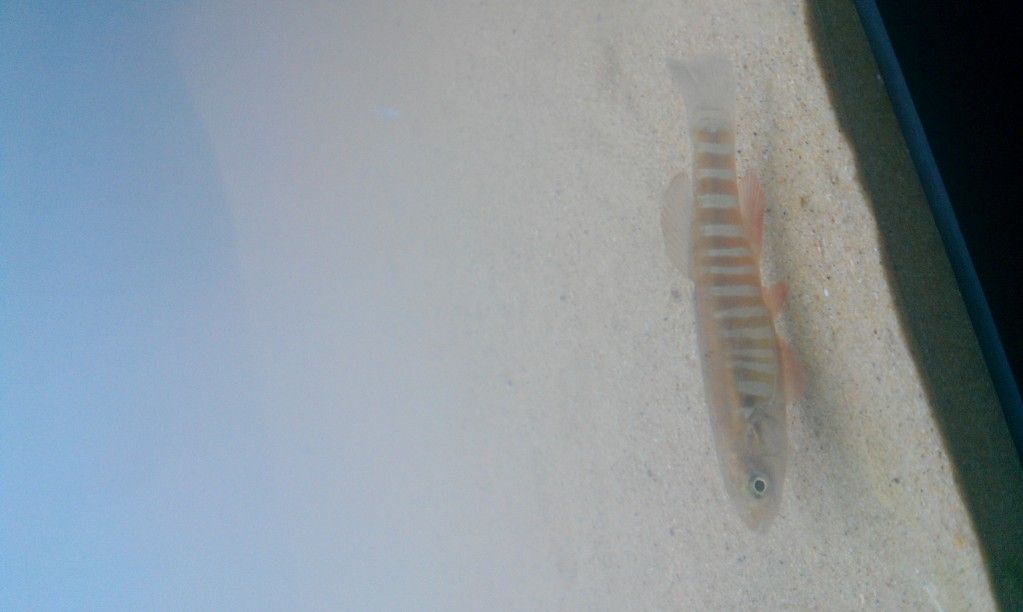 IMAG0572.jpg
