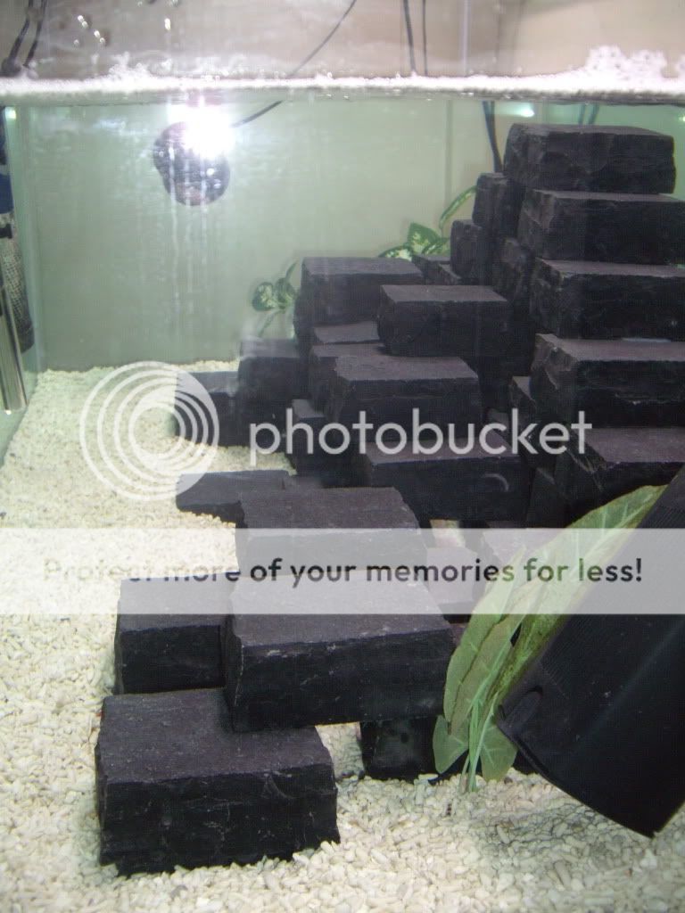 IMGP6448.jpg