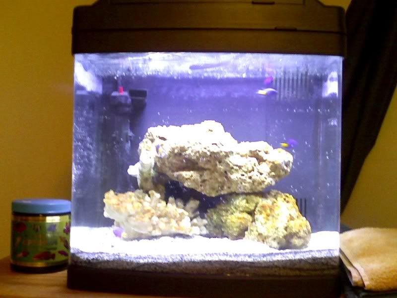 fishtank7.jpg