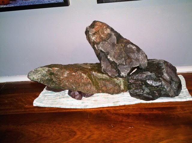 IMAG0003-1.jpg
