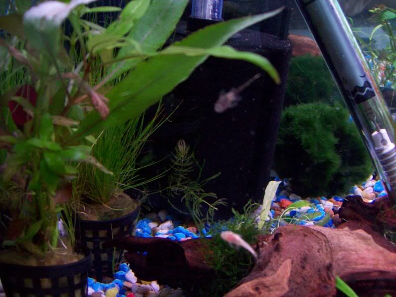 100_0410.jpg
