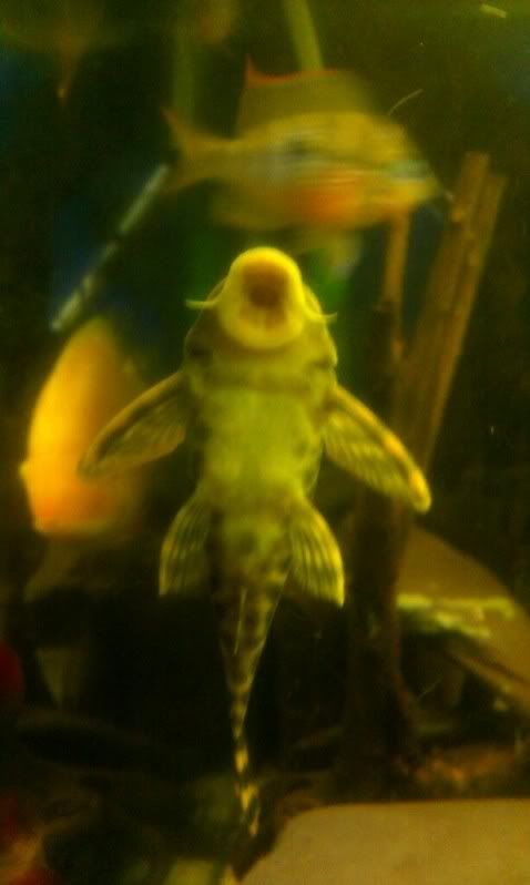 IMAG0763_edit0.jpg