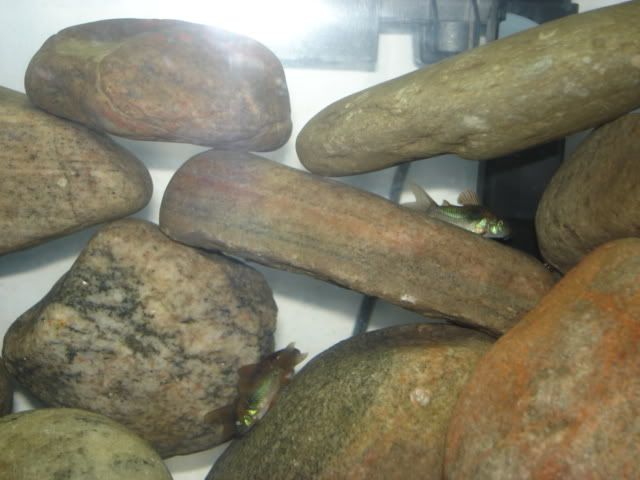DSC02549.jpg