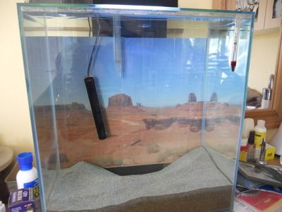 DSCN2097.jpg
