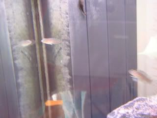 Random040.jpg