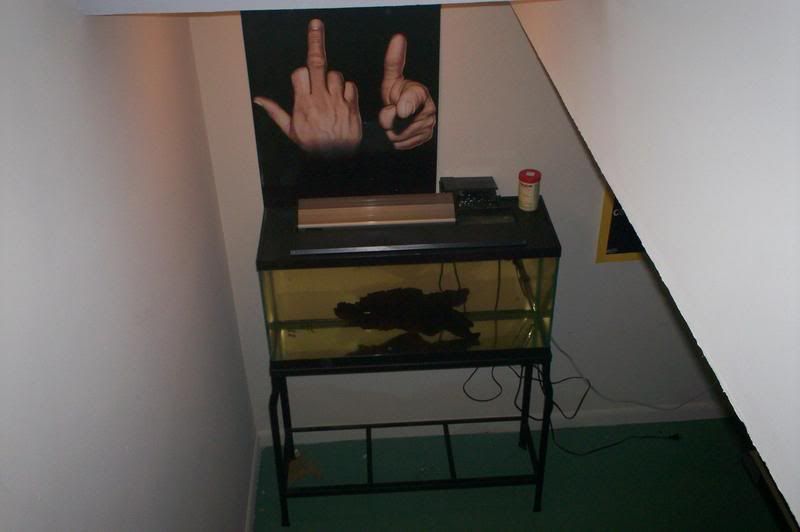 Stairs.jpg