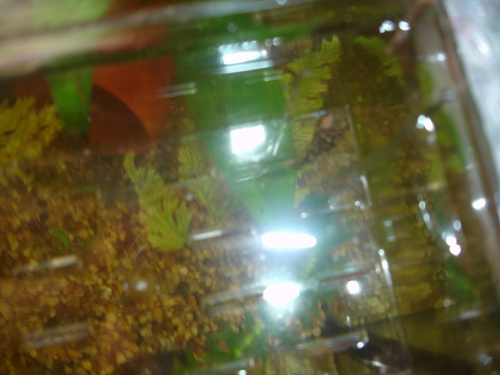 DSC01558.jpg