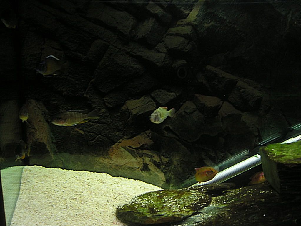P1010140.jpg