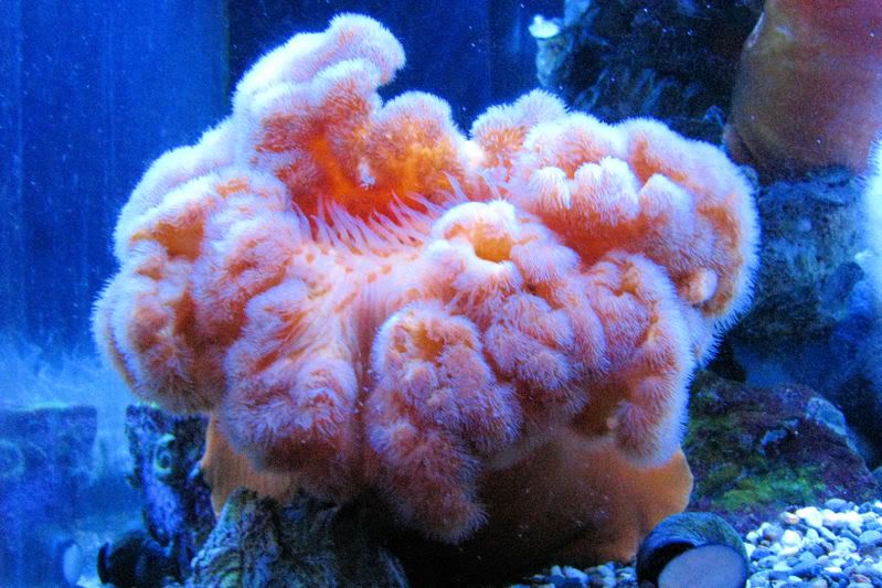 saltwater2.jpg