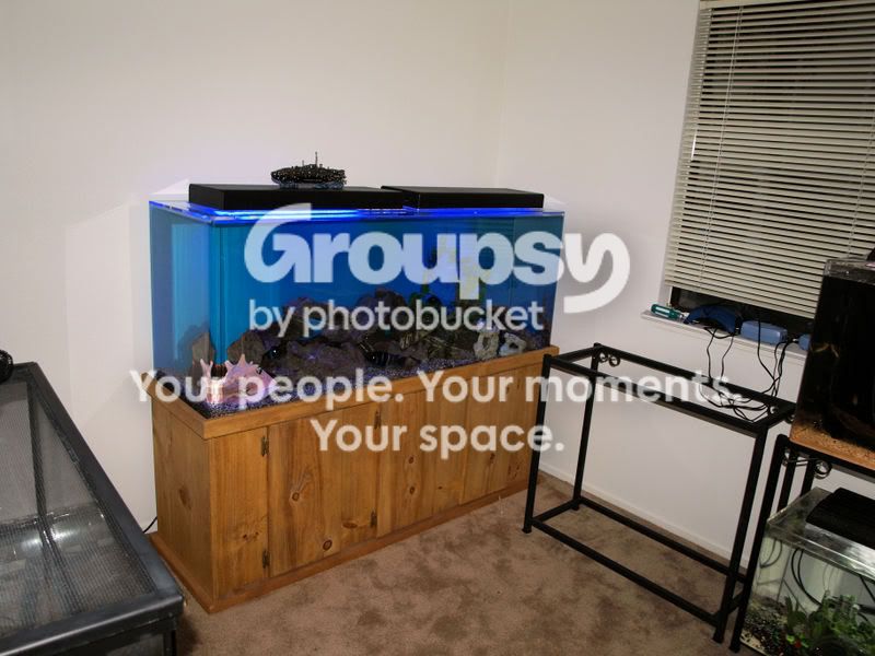 PB110386-midsetupinfishroom.jpg